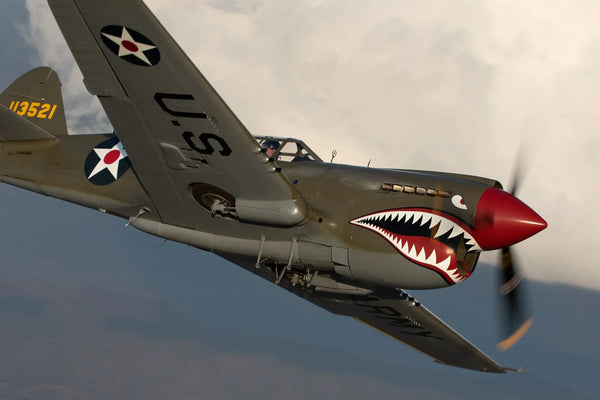 P-40 Warhawk in World War II: From Pearl Harbor to the Desert