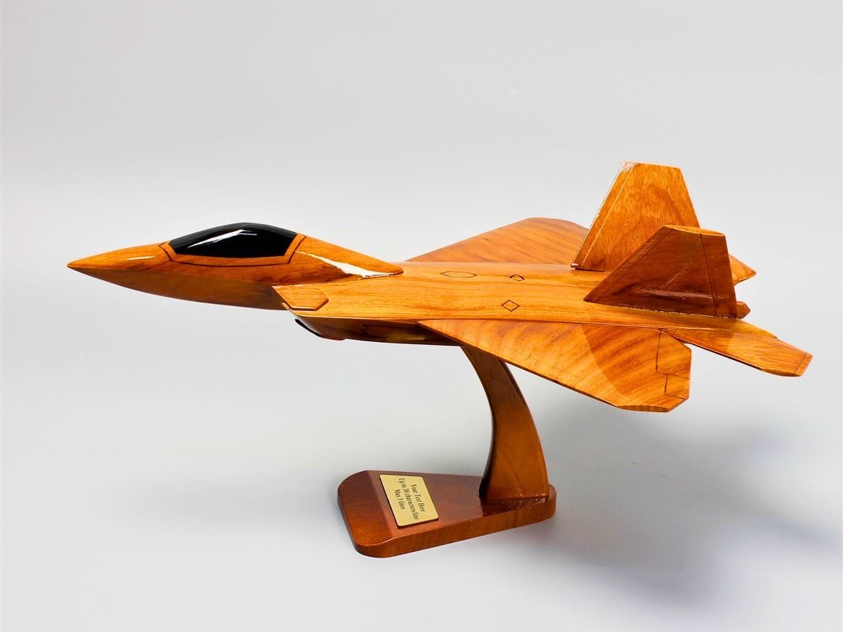 Lockheed Martin F-22 RaptorVietnamwoodmodel