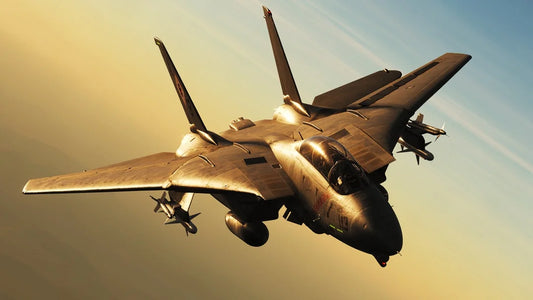 The Birth of the F-14 Tomcat: America’s Cold War Interceptor