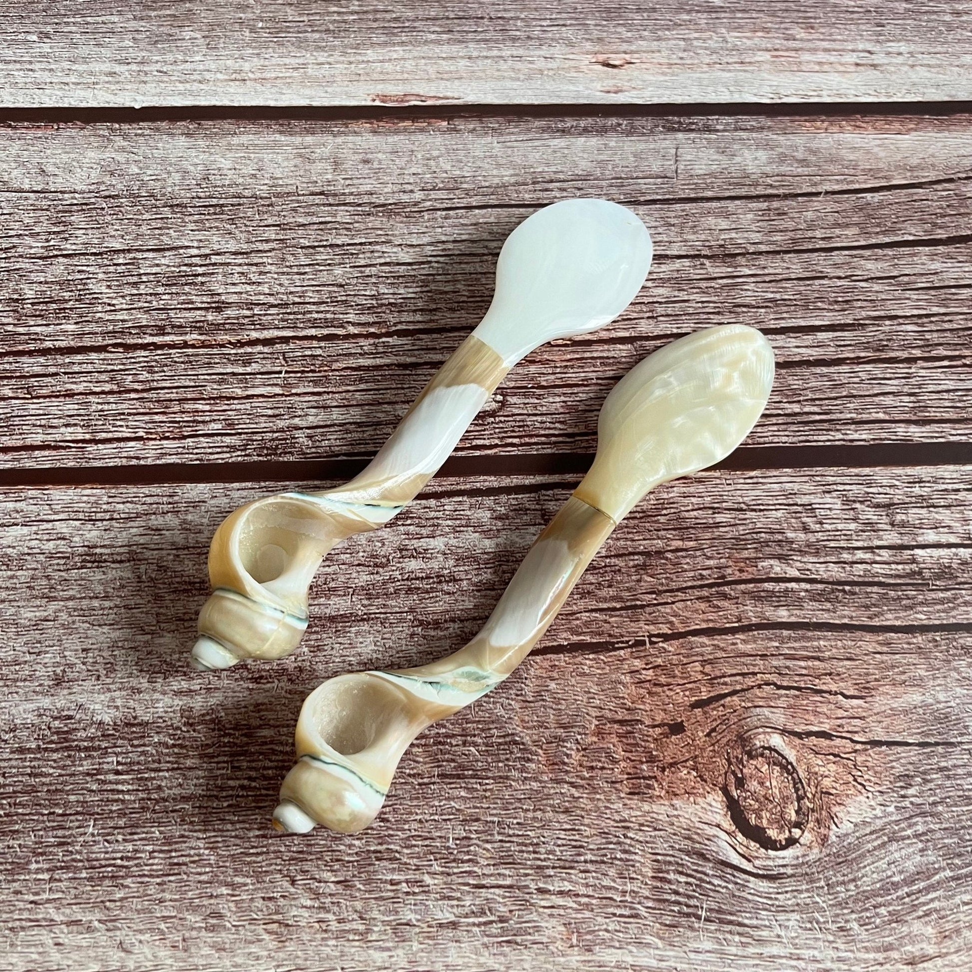 Mother Pearl Seashell Spoon Set 2BBDecorHouse