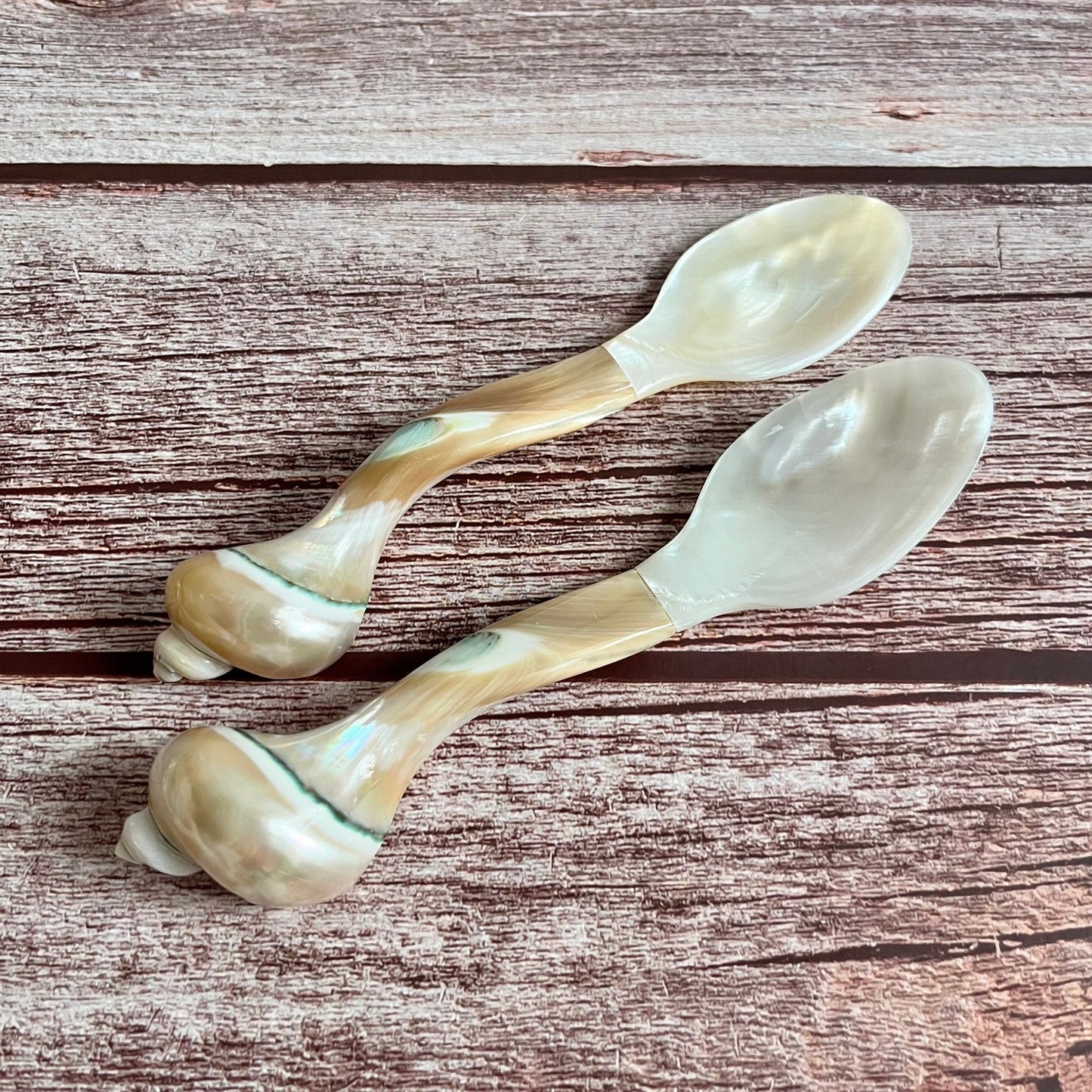 Mother Pearl Seashell Spoon Set 2BBDecorHouse