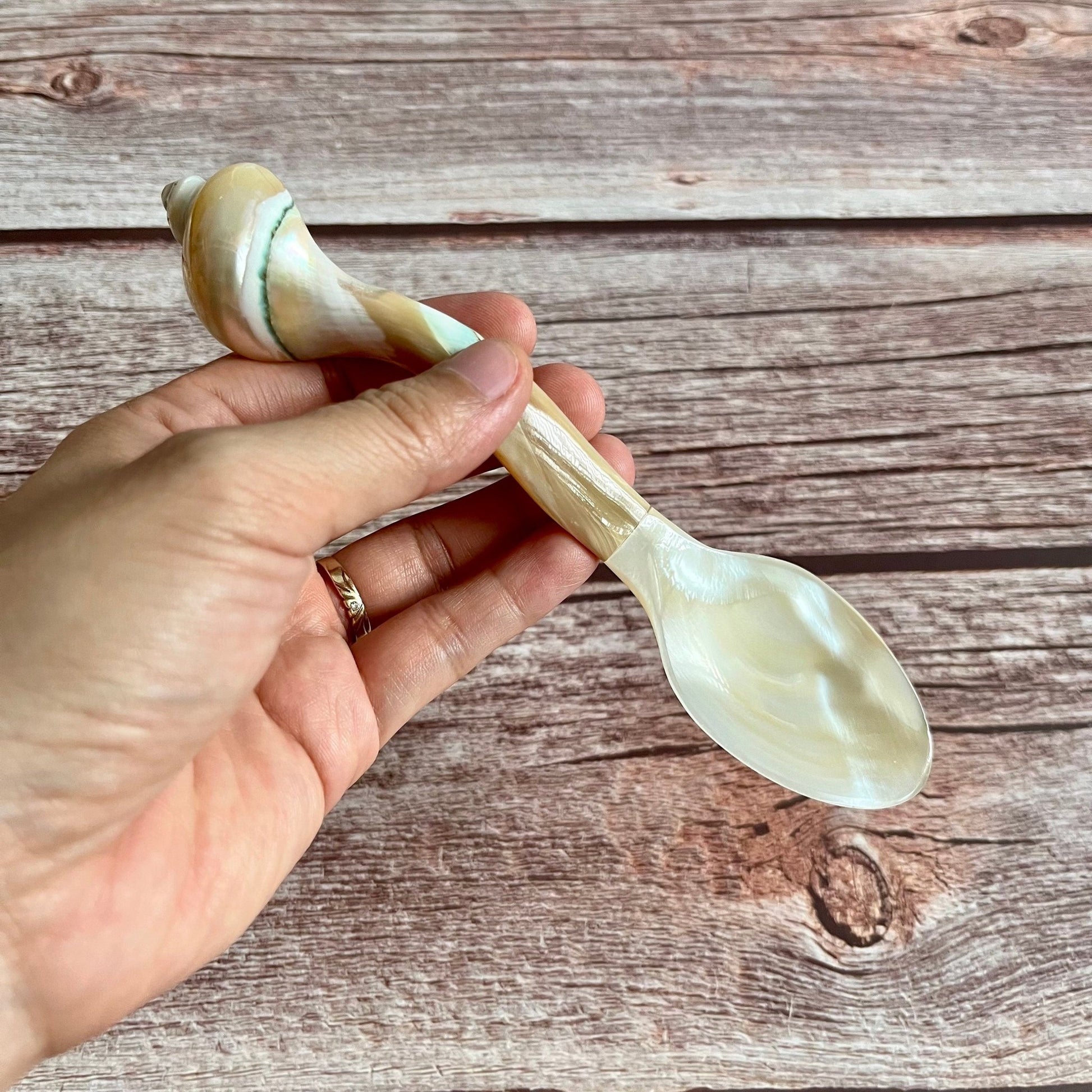 Mother Pearl Seashell Spoon Set 2BBDecorHouse